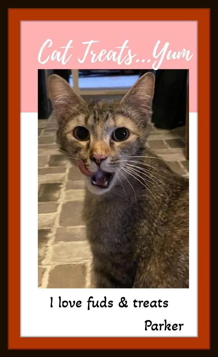 Parker   Be thumbnail 2