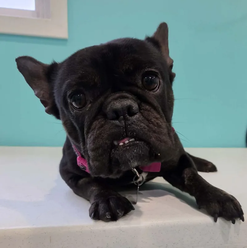 Nellie thumbnail 4