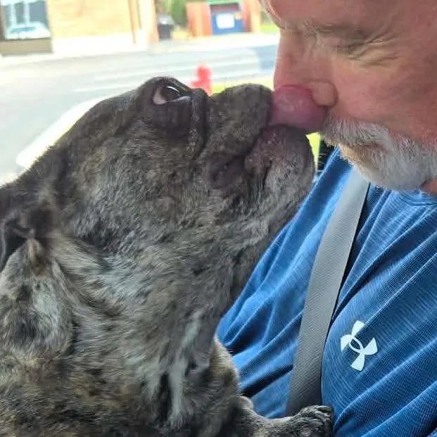 Harold thumbnail 3