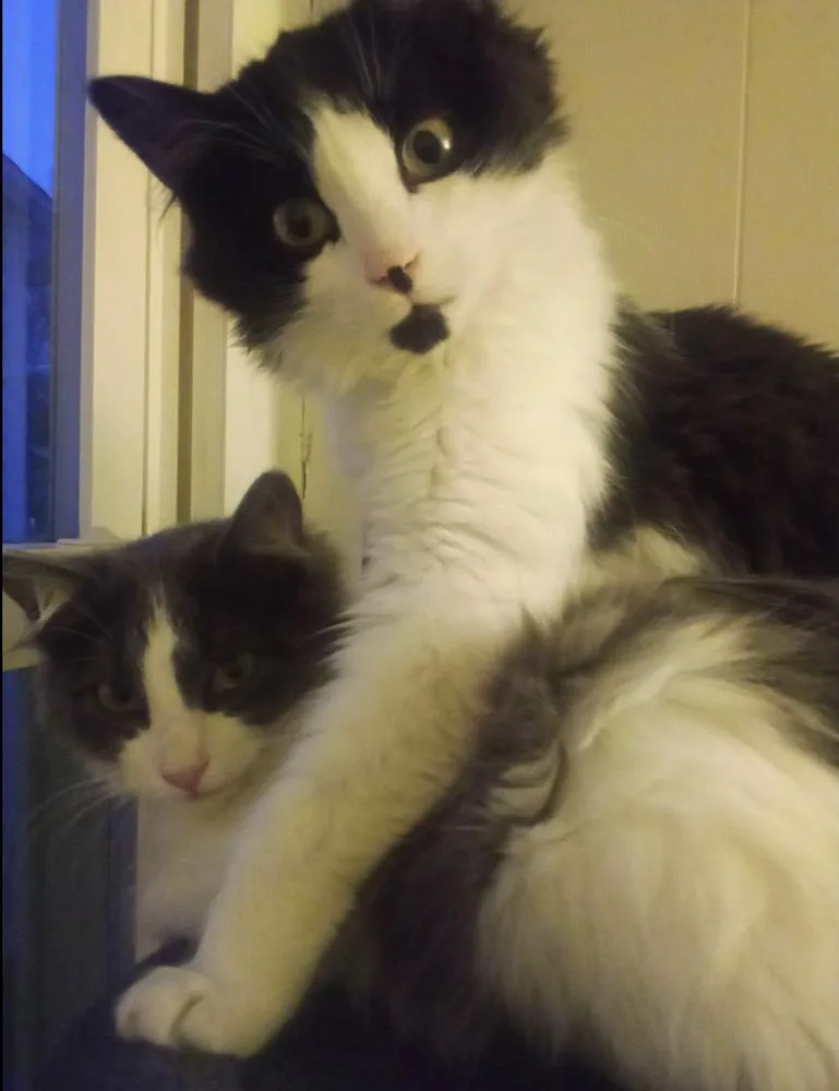 Maths: Fibonacci Part Of thumbnail 2