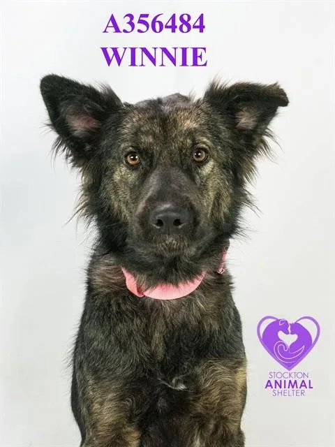 Winnie