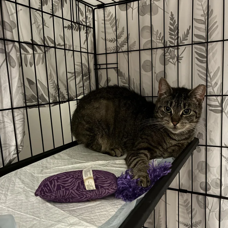 Mary Magdalene thumbnail 2