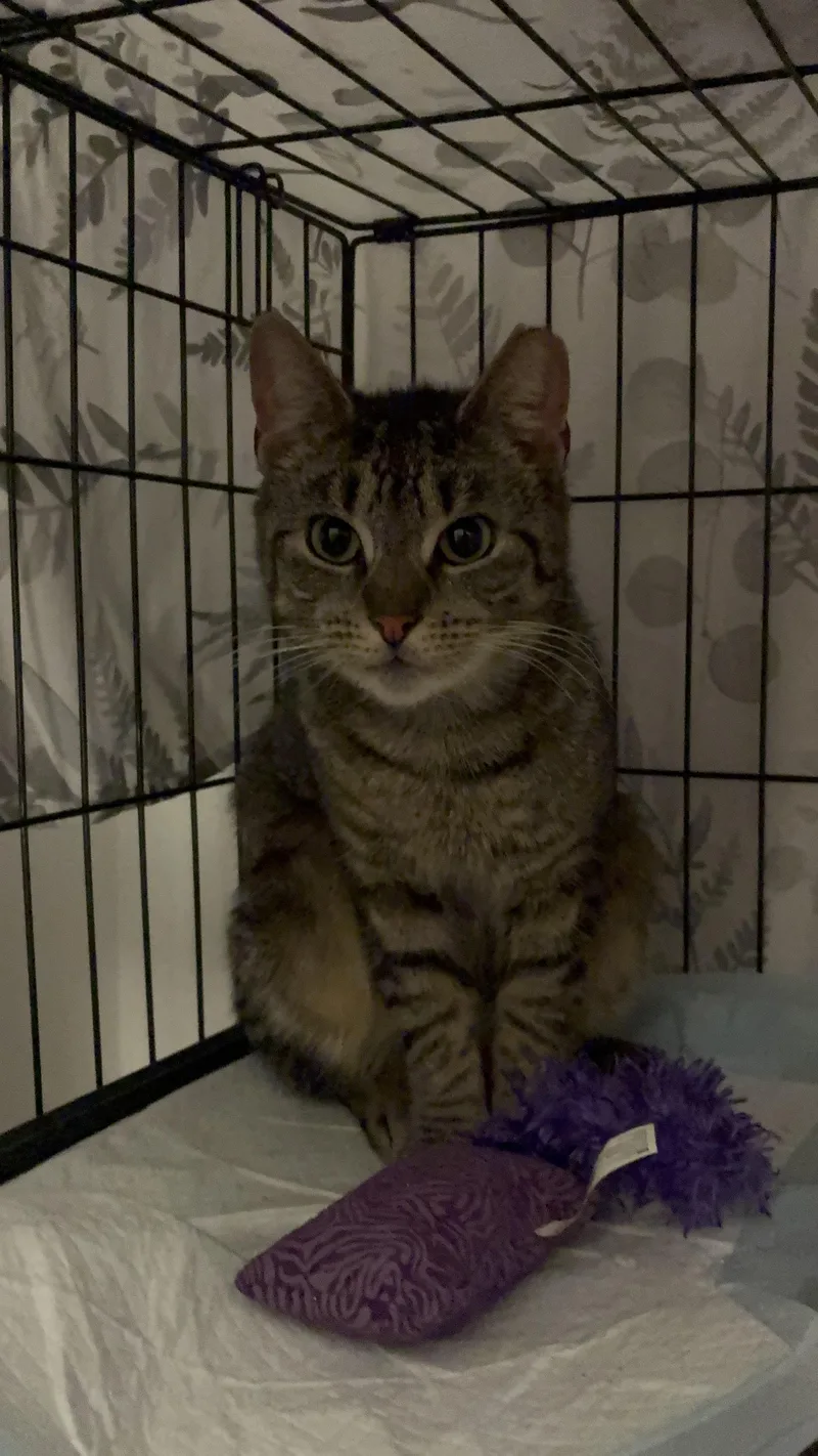 Mary Magdalene thumbnail 3