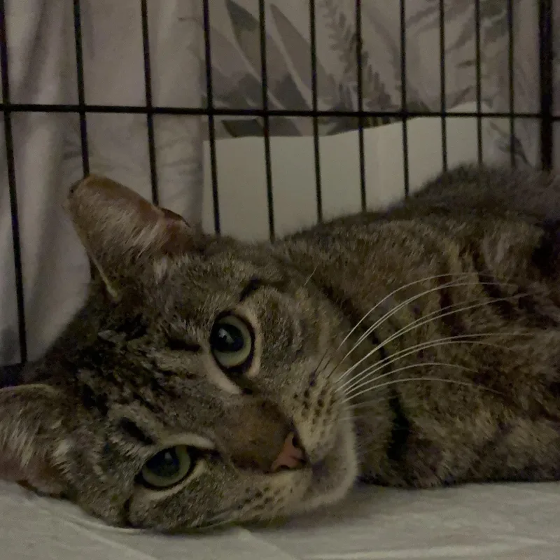 Mary Magdalene thumbnail 5