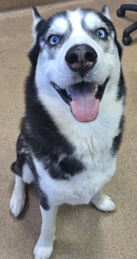 Jax