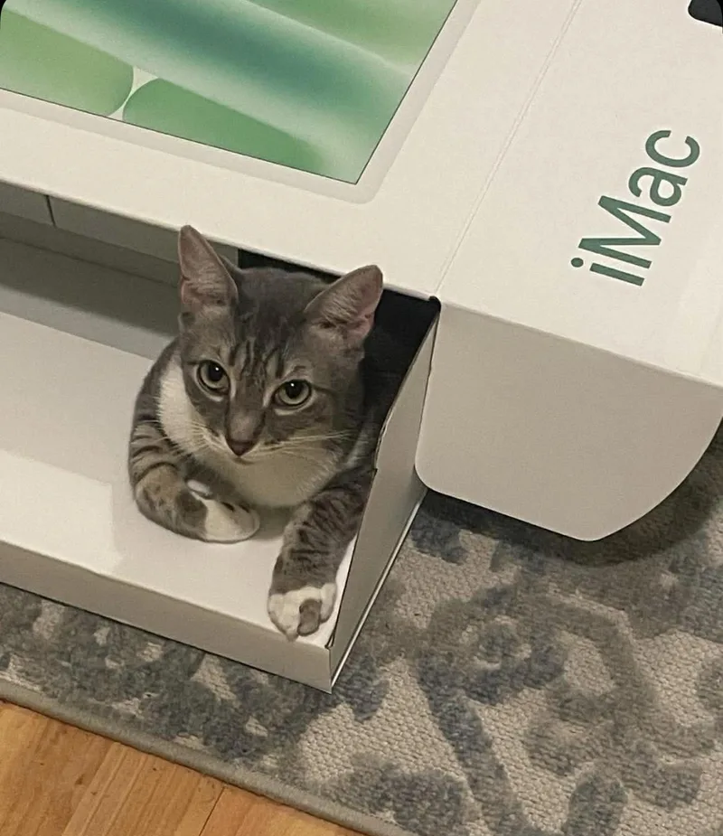Arthur thumbnail 3