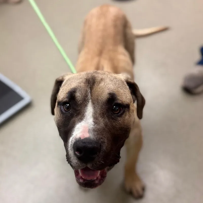 Giovanni thumbnail 5