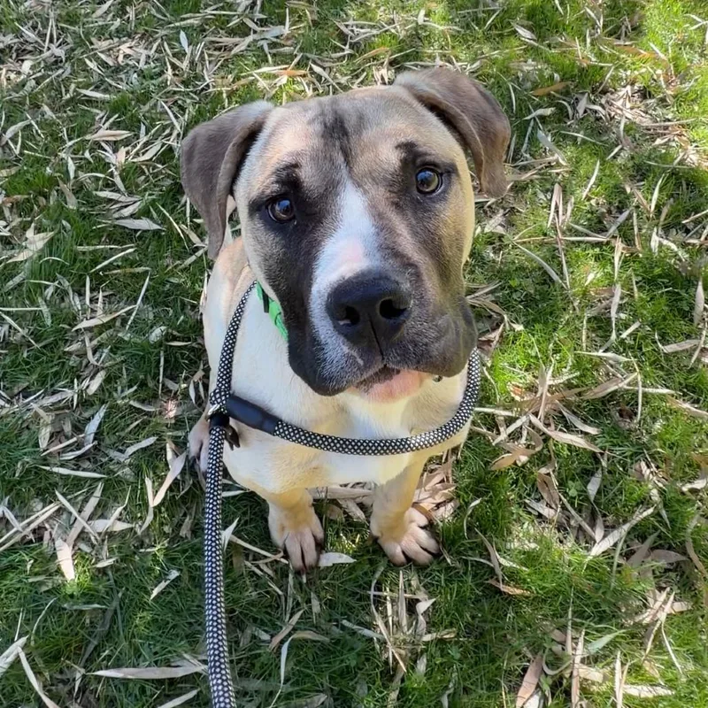 Giovanni thumbnail 6