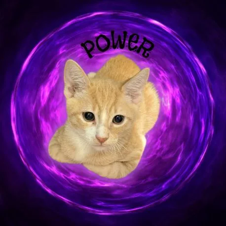 Power thumbnail 2