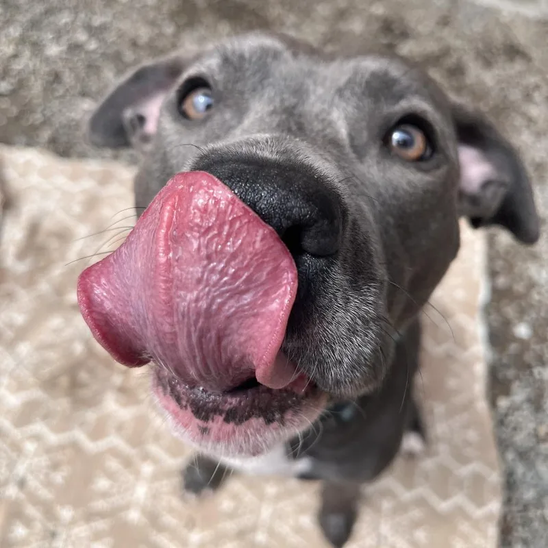 Lexi Luna thumbnail 2