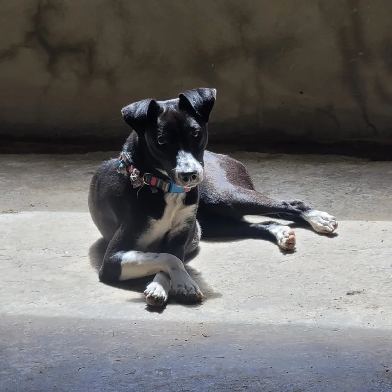 Negri "elegant & Loving."