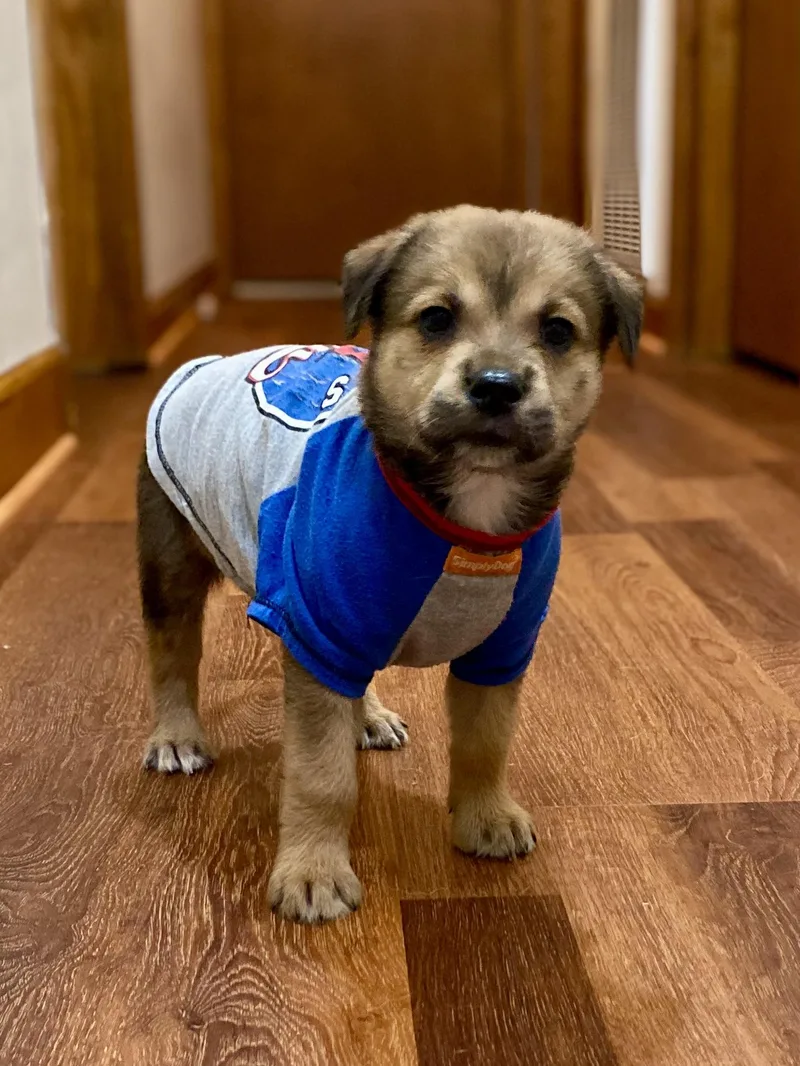 Amber Glenn thumbnail 2