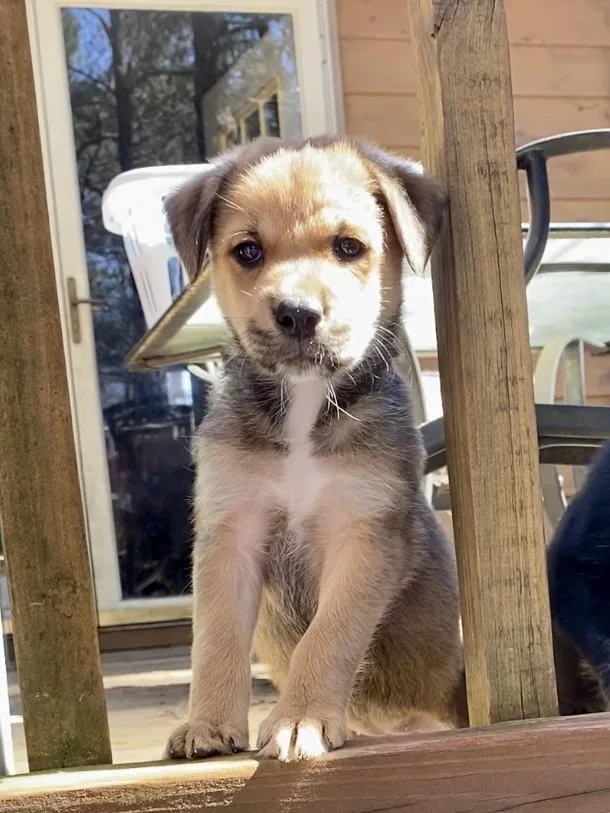 Amber Glenn thumbnail 3