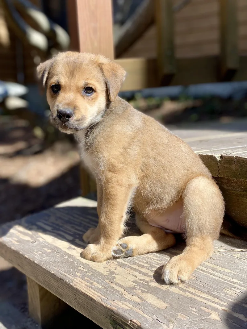 Amber Glenn thumbnail 5