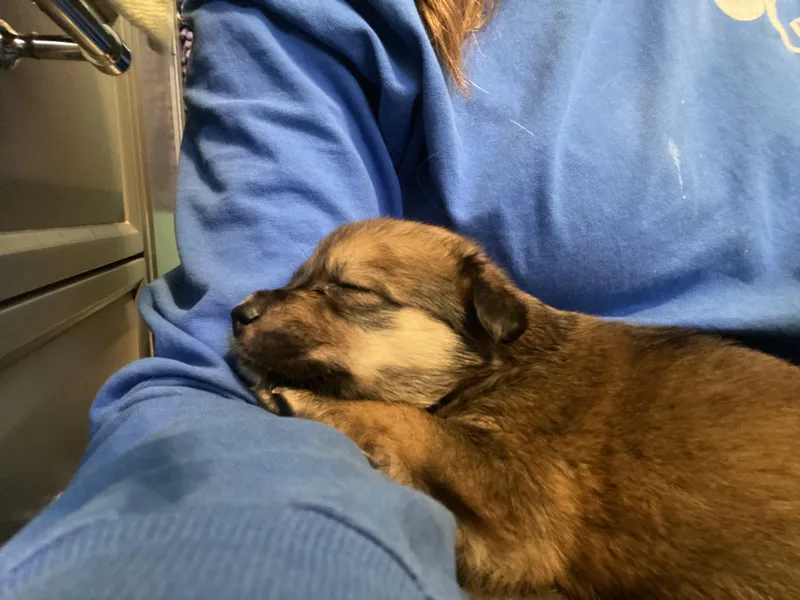 Amber Glenn thumbnail 6