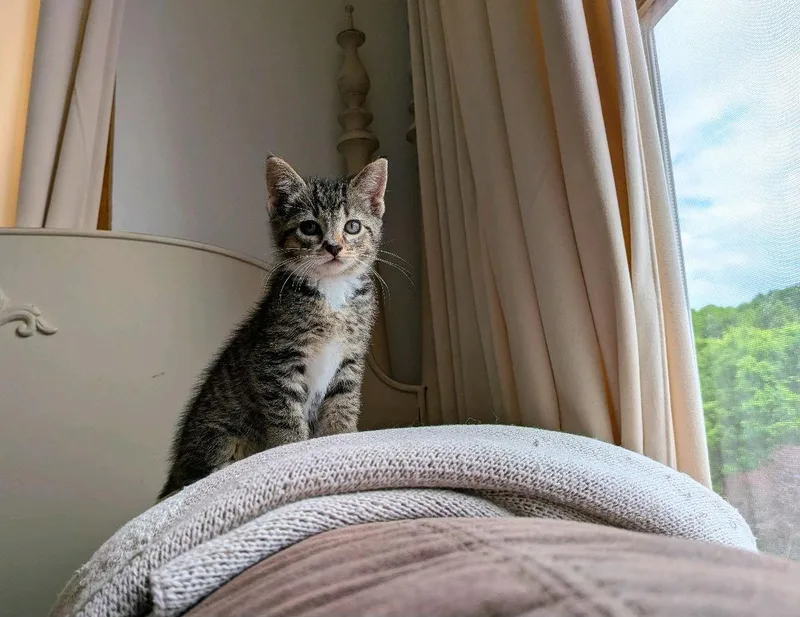 Nosie thumbnail 2