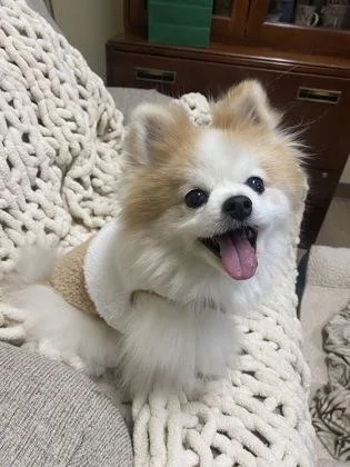 Nigel   `a thumbnail 5