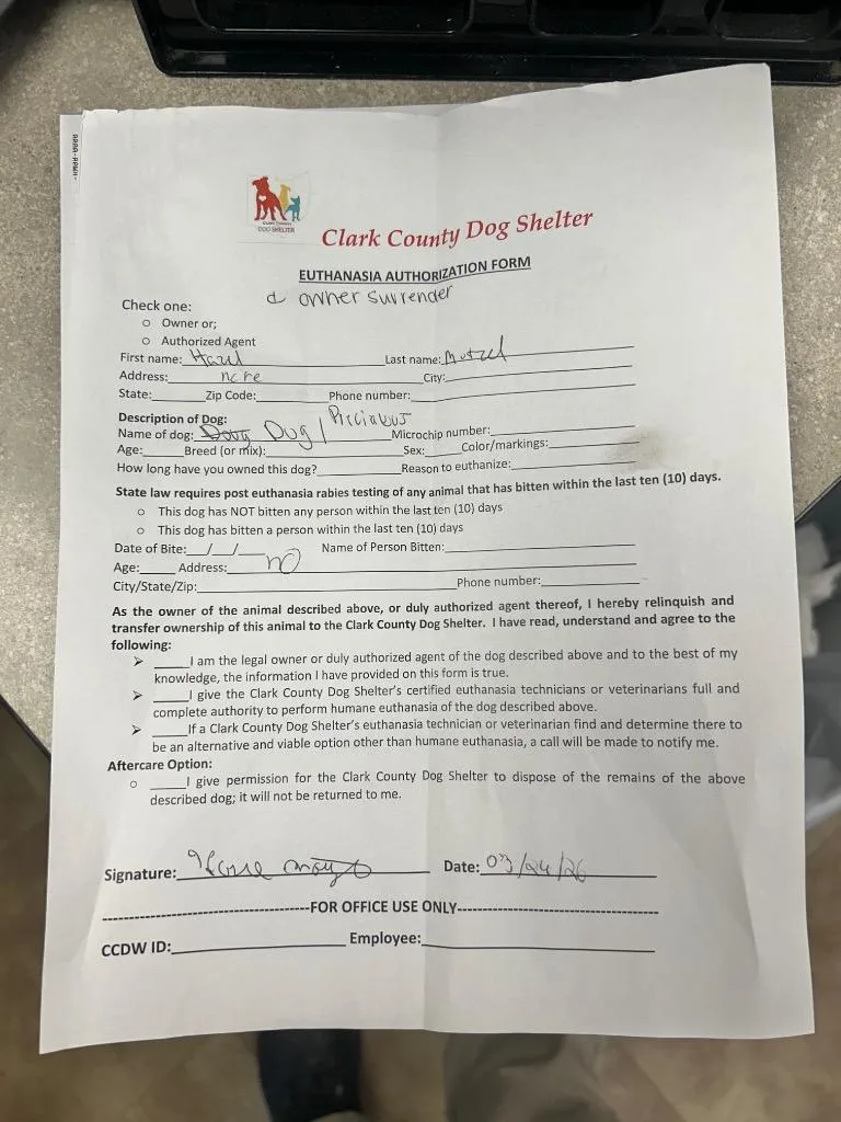 Precious thumbnail 2