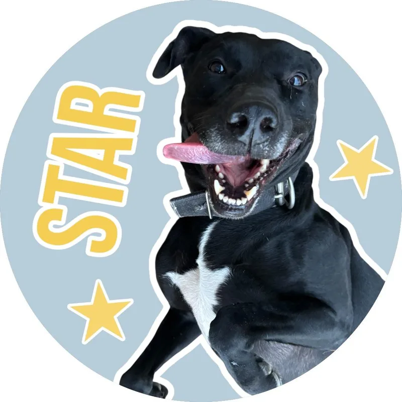 Star thumbnail 3