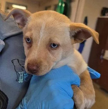 Jasmine D thumbnail 2