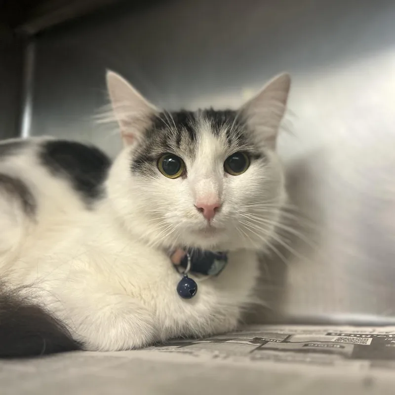 Charcaterie Board thumbnail 2