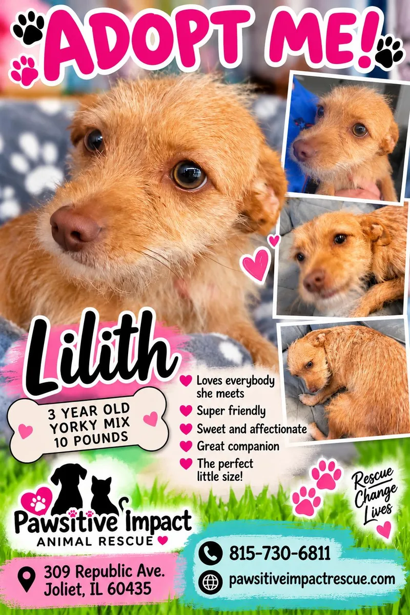 Lillith thumbnail 2