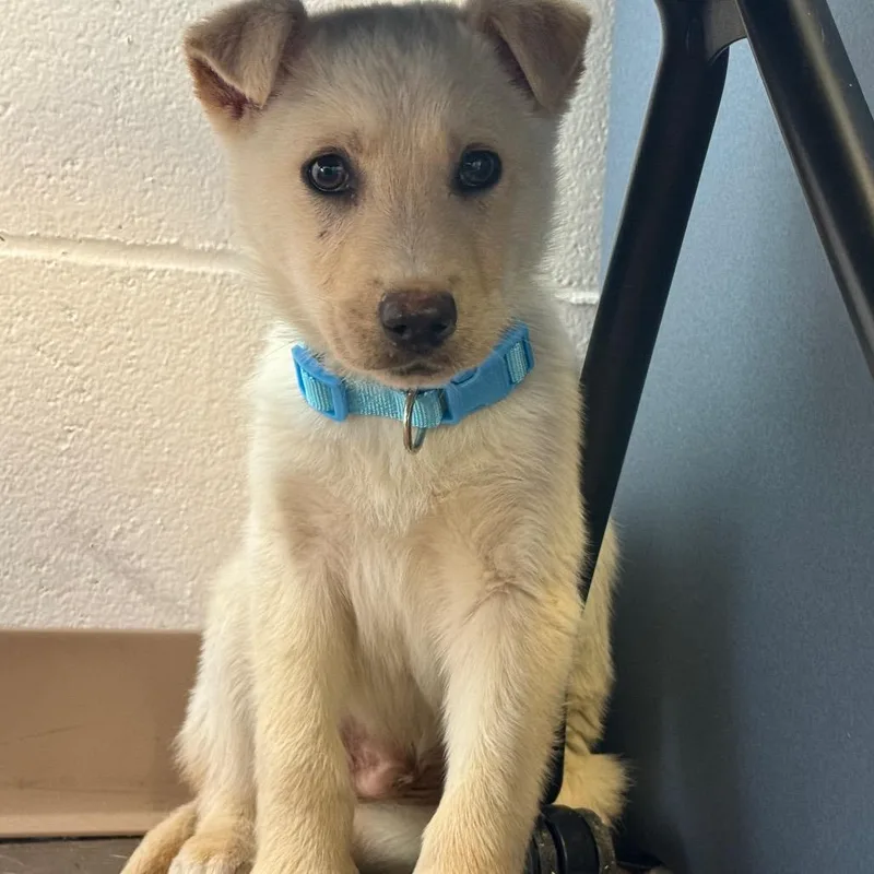 Jelly Jam thumbnail 2