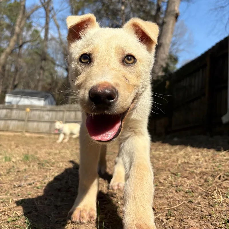 Jelly Jam thumbnail 6