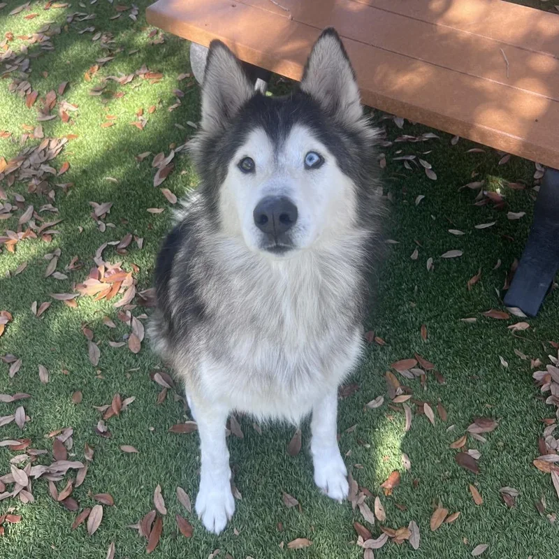 Maverick thumbnail 3