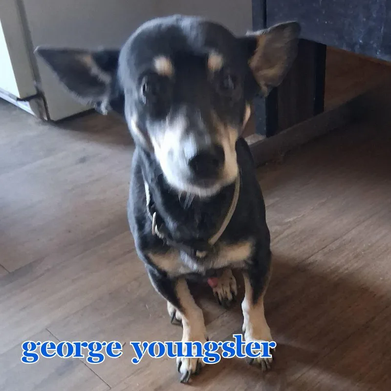 George Youngster thumbnail 2