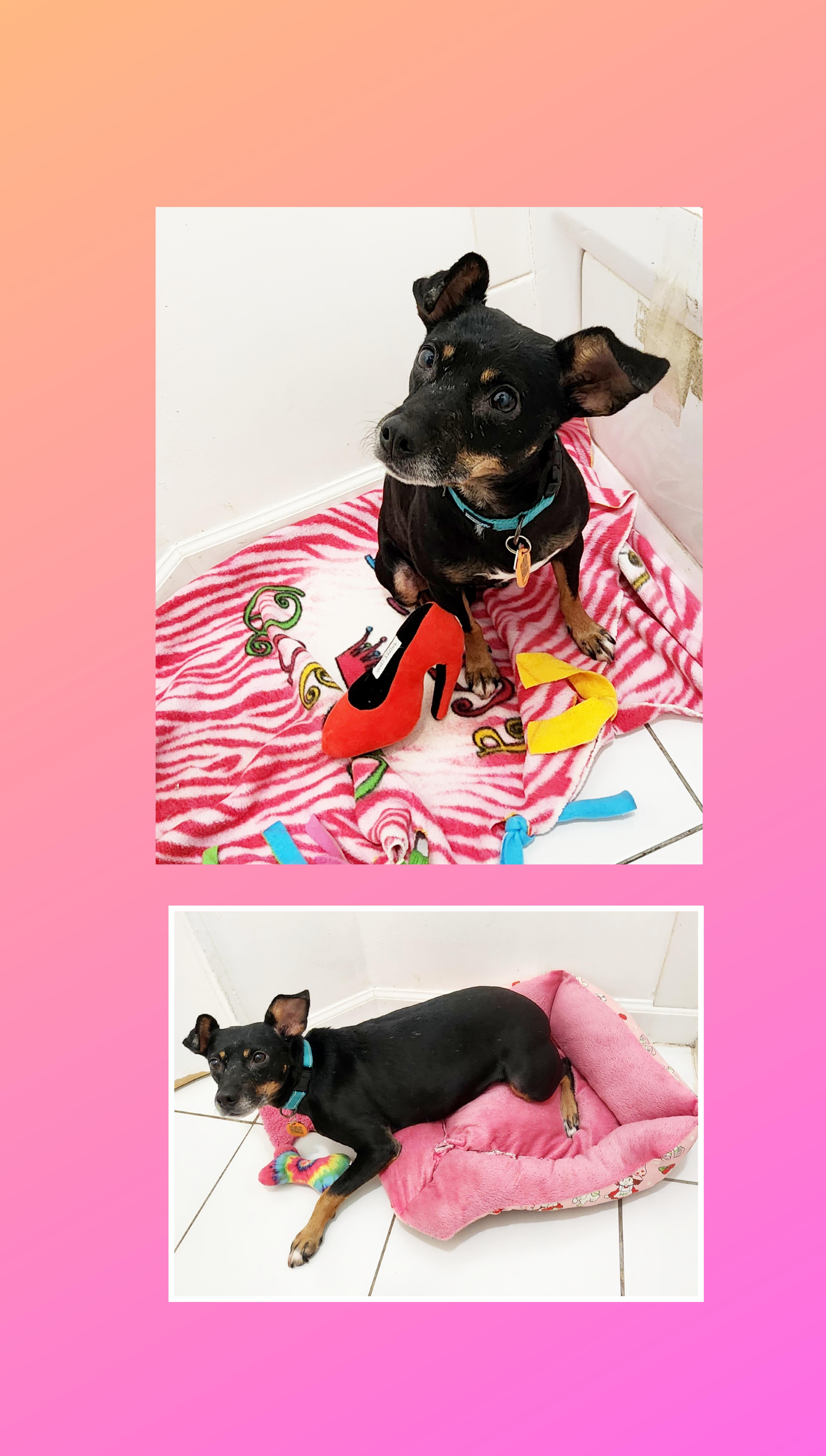 Molly thumbnail 3