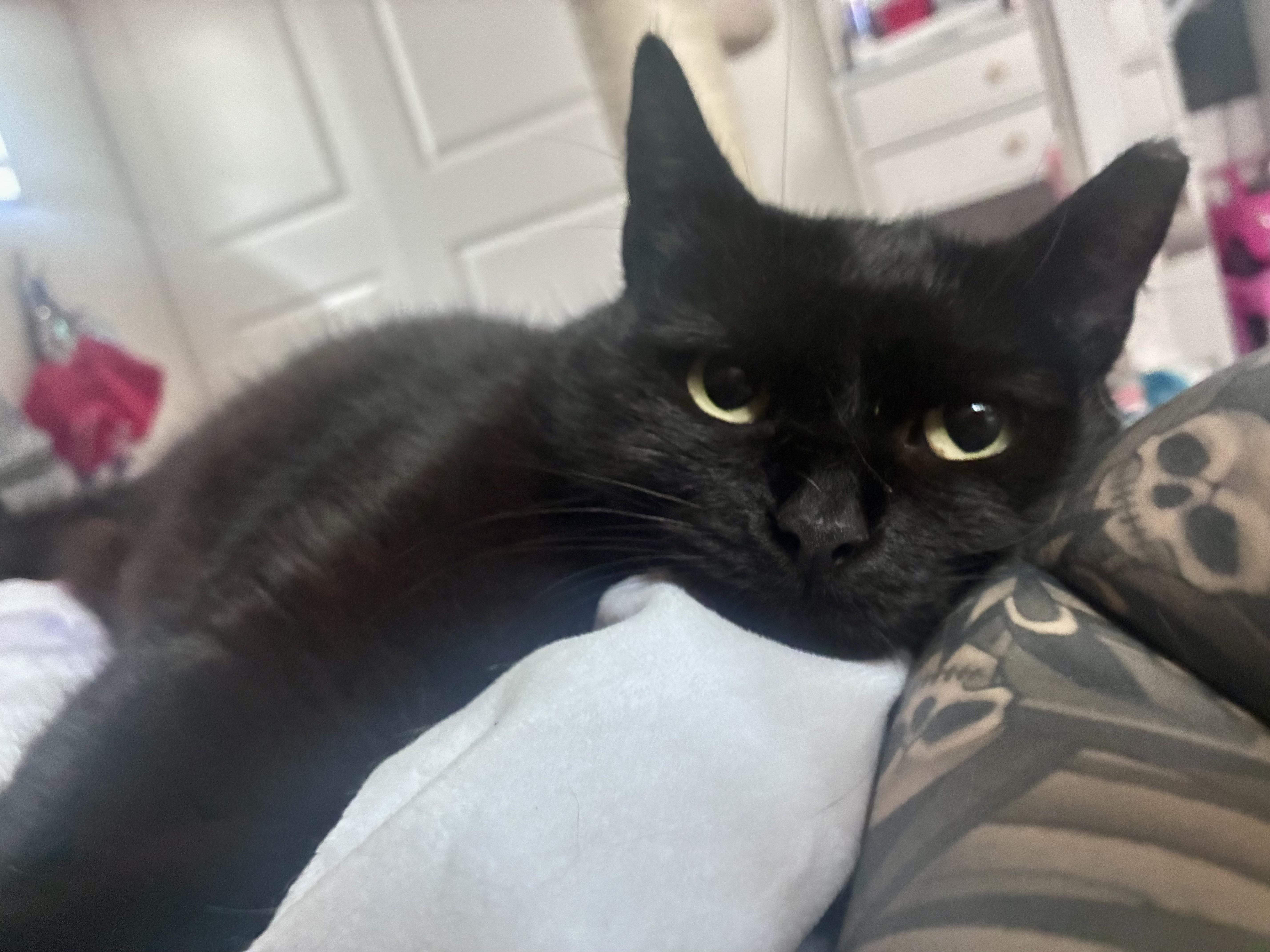 Sabrina thumbnail 2