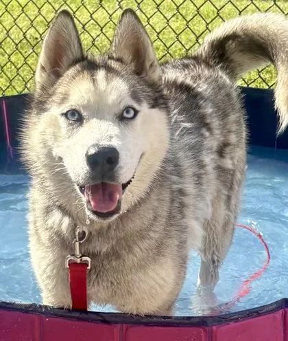 Bella thumbnail 3