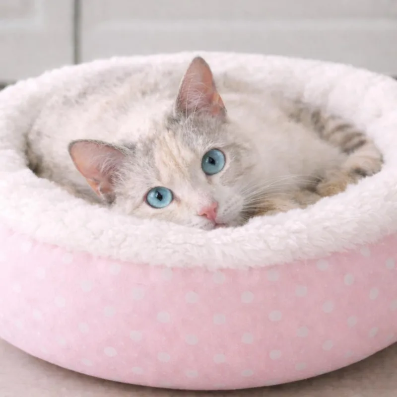 Kira — Soft  thumbnail 4