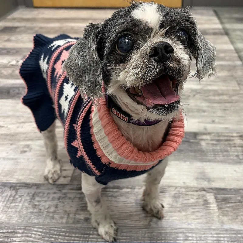 Princess thumbnail 3