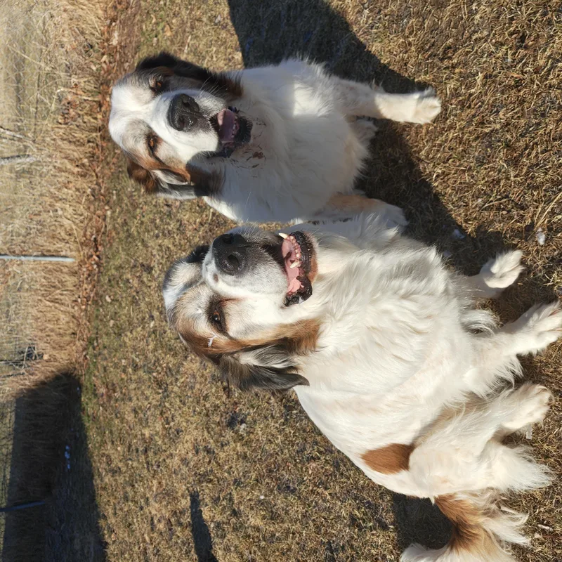 Zeus And Cleo thumbnail 2