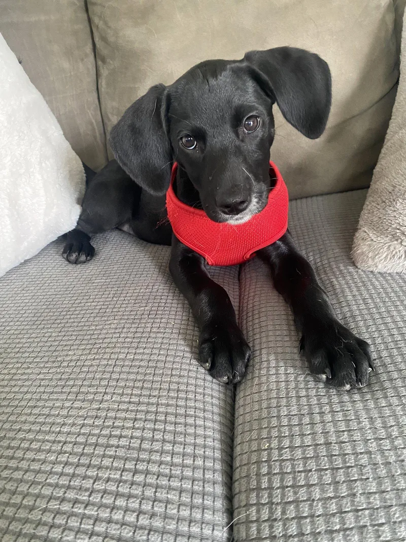 Nora