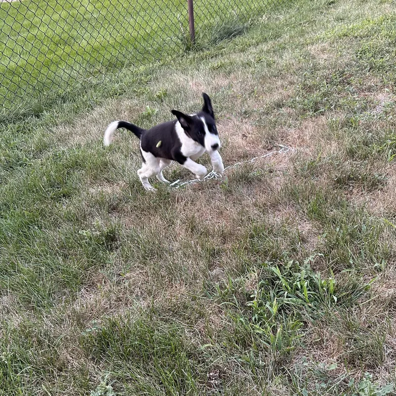 Betty