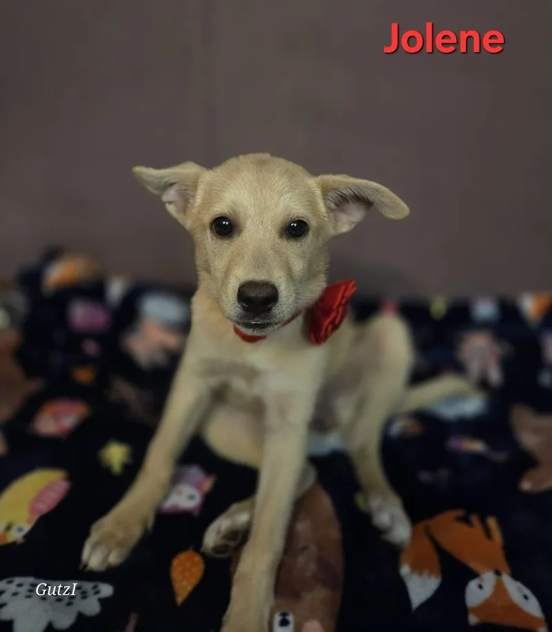 Jolene thumbnail 6