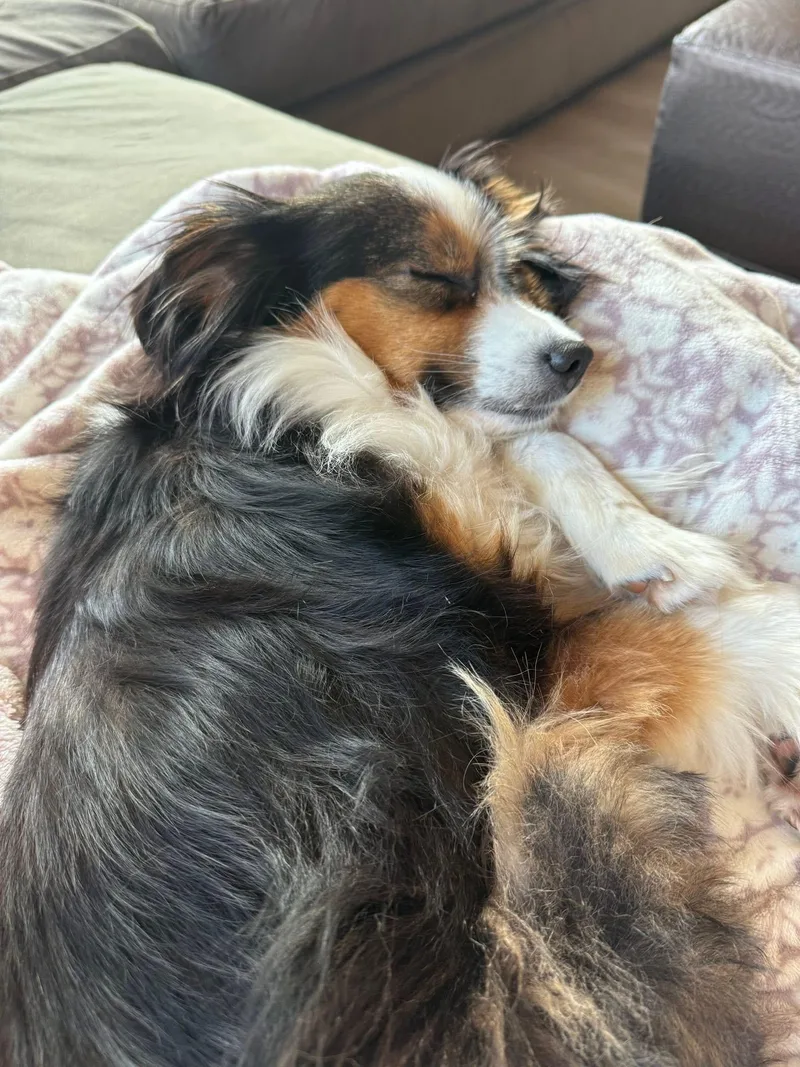 Bailey Jo thumbnail 3