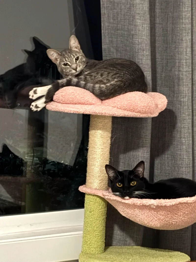 Hope And Boots thumbnail 2