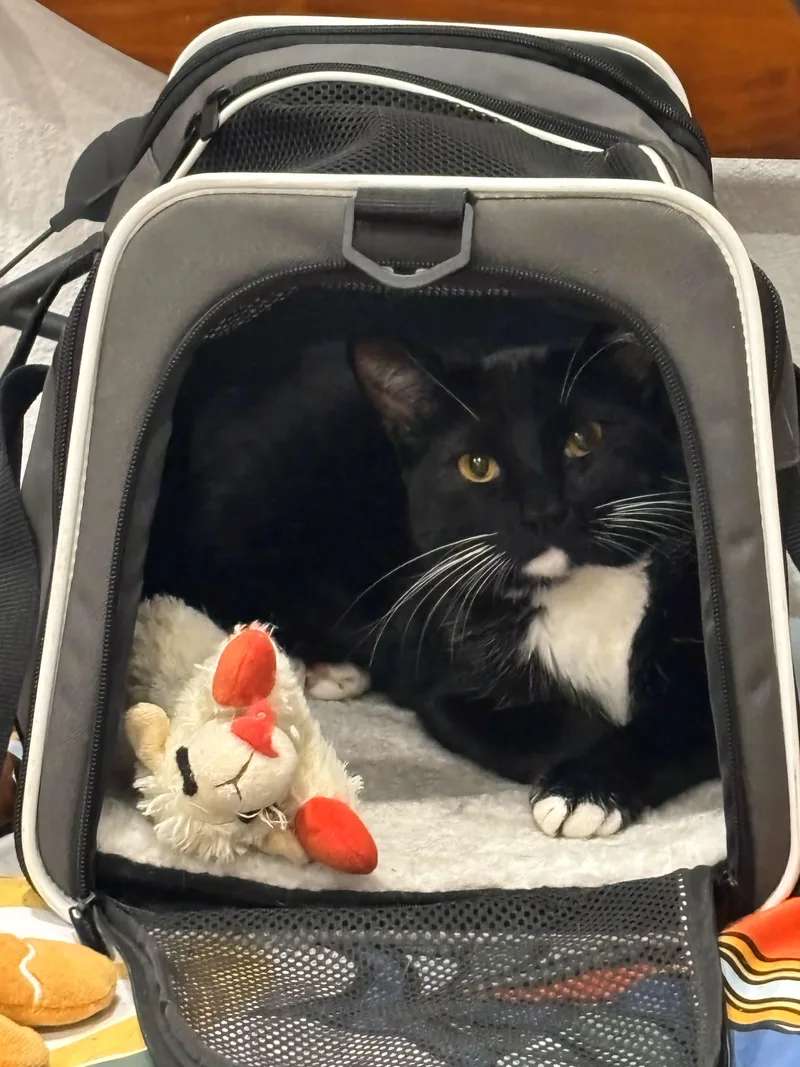 Hope And Boots thumbnail 3