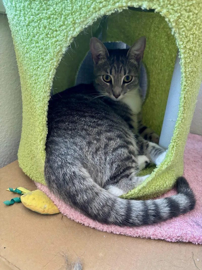 Hope And Boots thumbnail 4