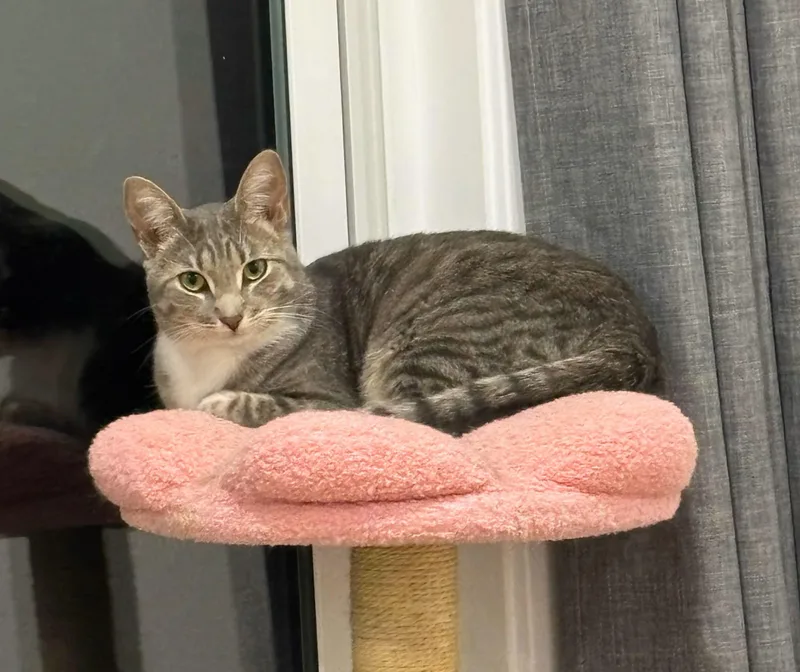 Hope And Boots thumbnail 5