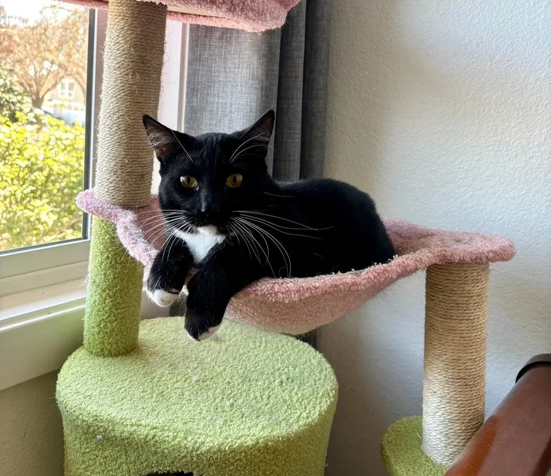 Hope And Boots thumbnail 6