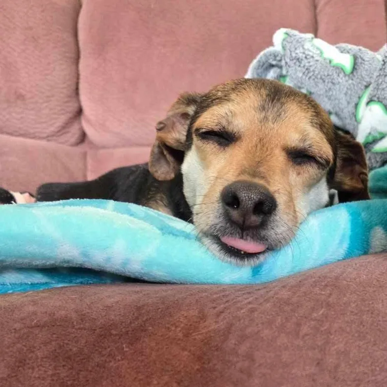 Mr. Handsome Charlie thumbnail 2