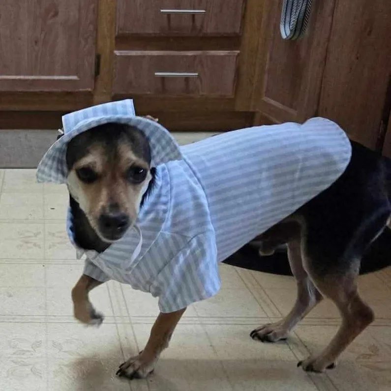 Mr. Handsome Charlie thumbnail 3