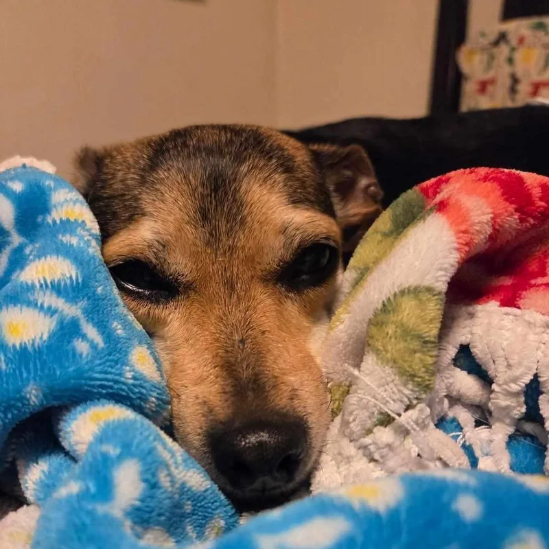 Mr. Handsome Charlie thumbnail 4