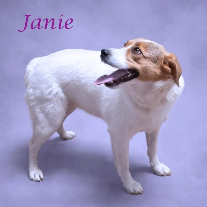 Janie D thumbnail 2