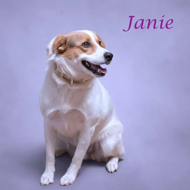 Janie D thumbnail 3